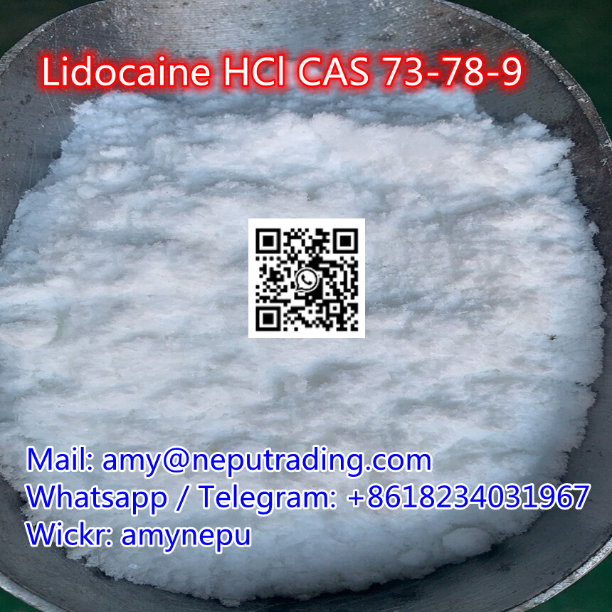 Best Price Bulk Stock CAS 73-78-9 Lidocaine HCl