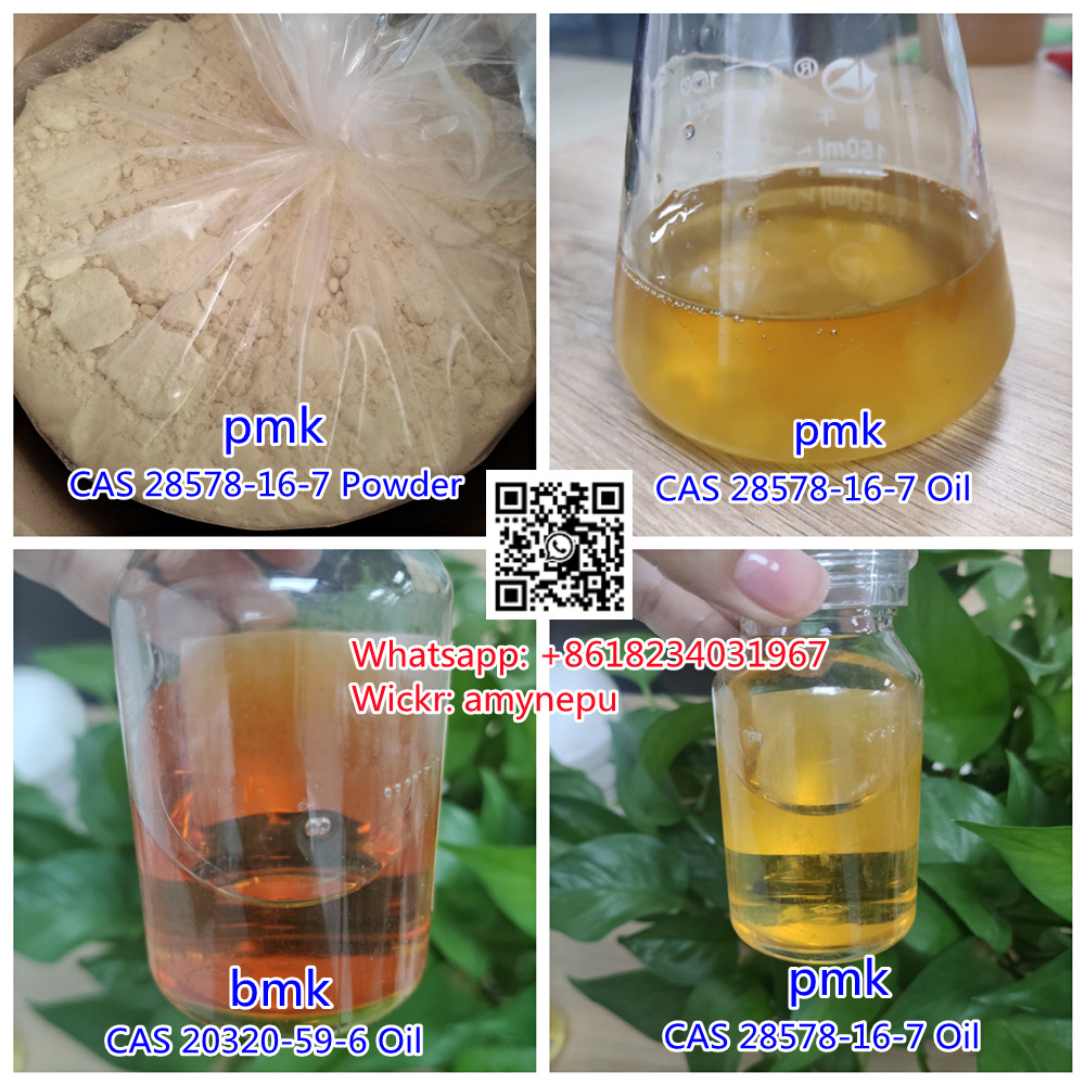 PMK Ethyl Glycidate CAS 28578-16-7 New Pmk Oil PMK Powder Supplier
