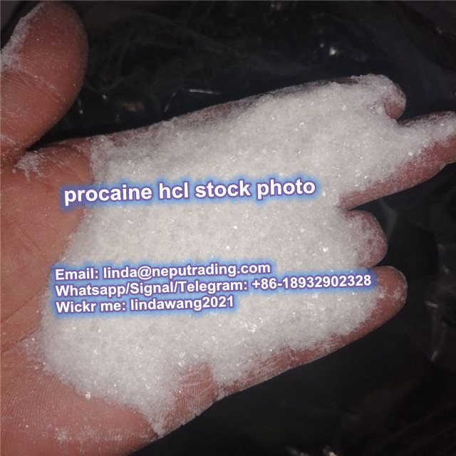  Top Quality Procaine HCl CAS 59-46-1 Procaine powder with Fast Delivery