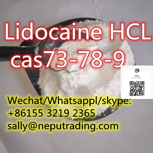 China Manufacture Supply Top USP/GMP/Bp CAS 73-78-9 Lidocaine hcl