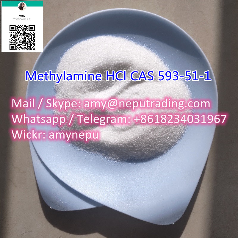 China Factory Supply Methylamine Hydrochloride CAS 593-51-1 in stock