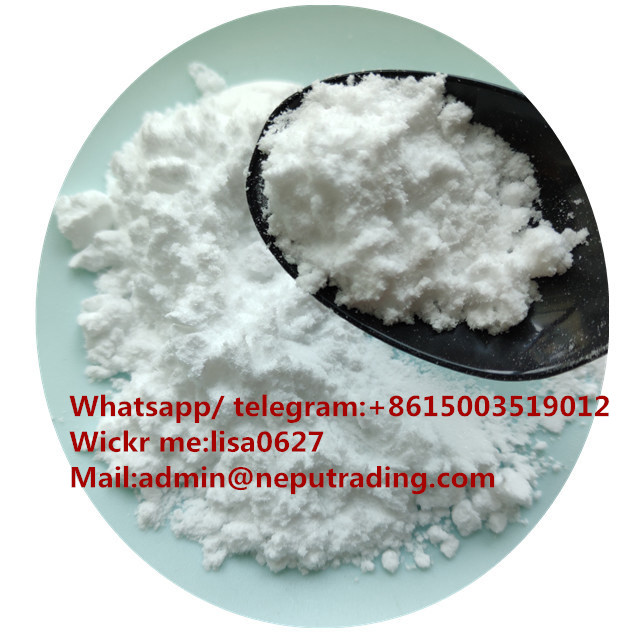 N-Methylbenzamide Factory with CAS 613-93-4 From China